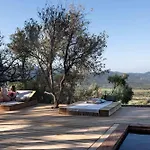 Ecodomaine & Distillerie U Viaghju Bed & Breakfast