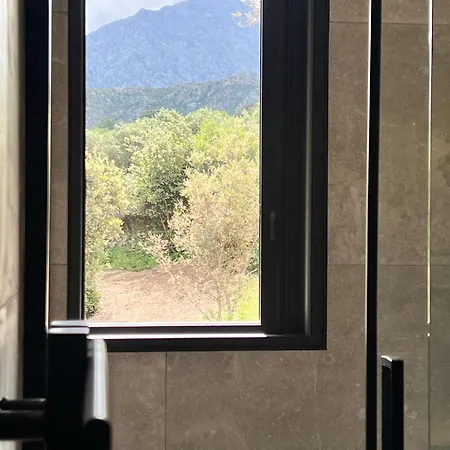 Ecodomaine & Distillerie U Viaghju Bed & Breakfast