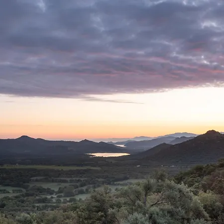 Ecodomaine & Distillerie U Viaghju Bed & Breakfast