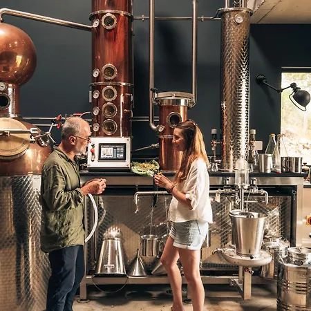 Ecodomaine & Distillerie U Viaghju 4* Muro