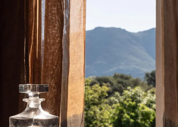 Ecodomaine & Distillerie U Viaghju فندق مبيت وإفطار