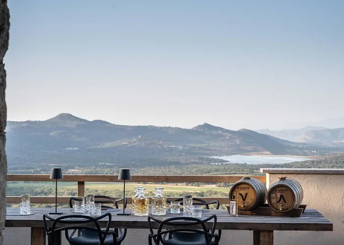 Ecodomaine & Distillerie U Viaghju 4*