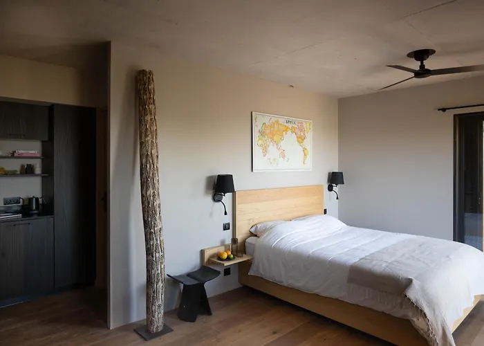 فندق مبيت وإفطار Ecodomaine & Distillerie U Viaghju 3*