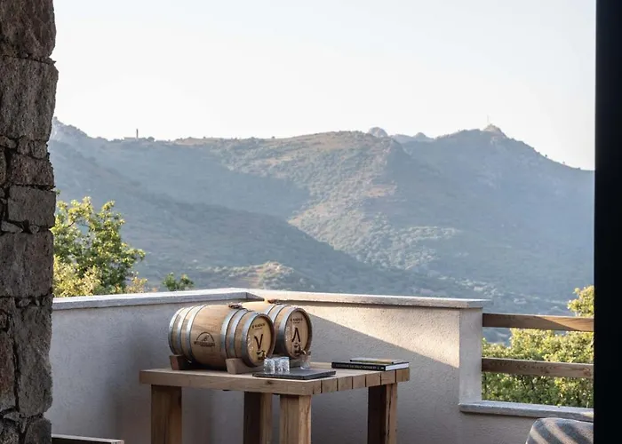 فندق مبيت وإفطار Ecodomaine & Distillerie U Viaghju Muro (Corsica)