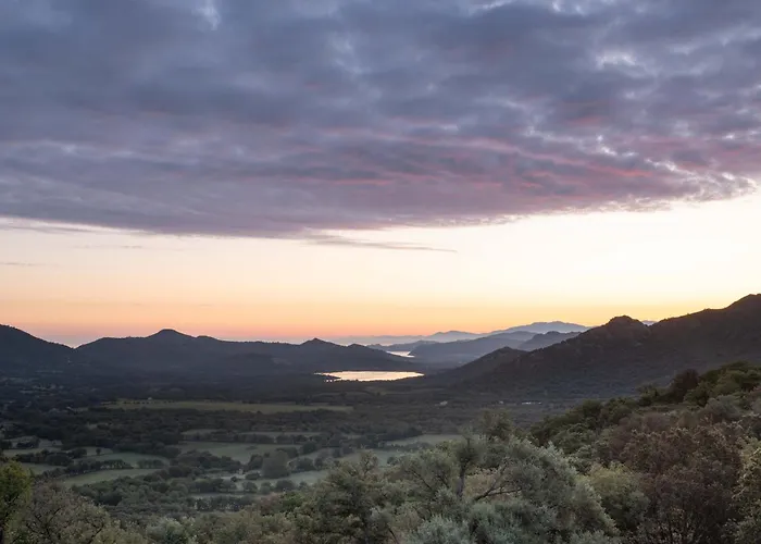 Ecodomaine & Distillerie U Viaghju فندق مبيت وإفطار