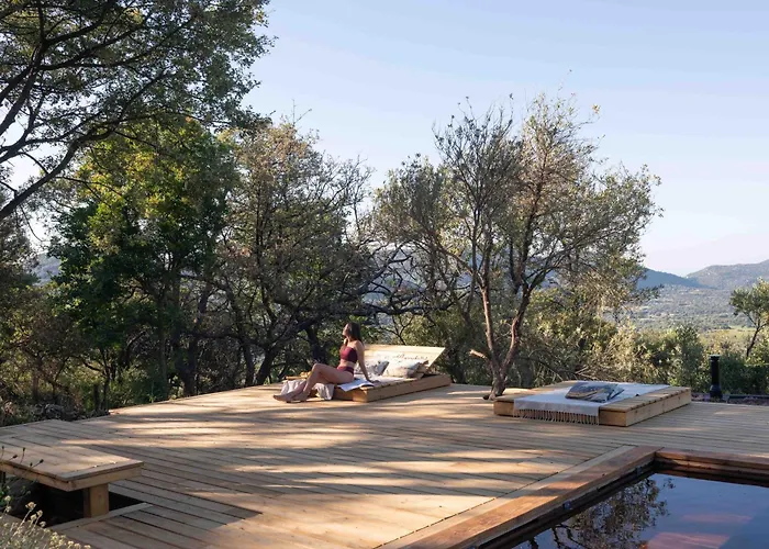 فندق مبيت وإفطار Ecodomaine & Distillerie U Viaghju